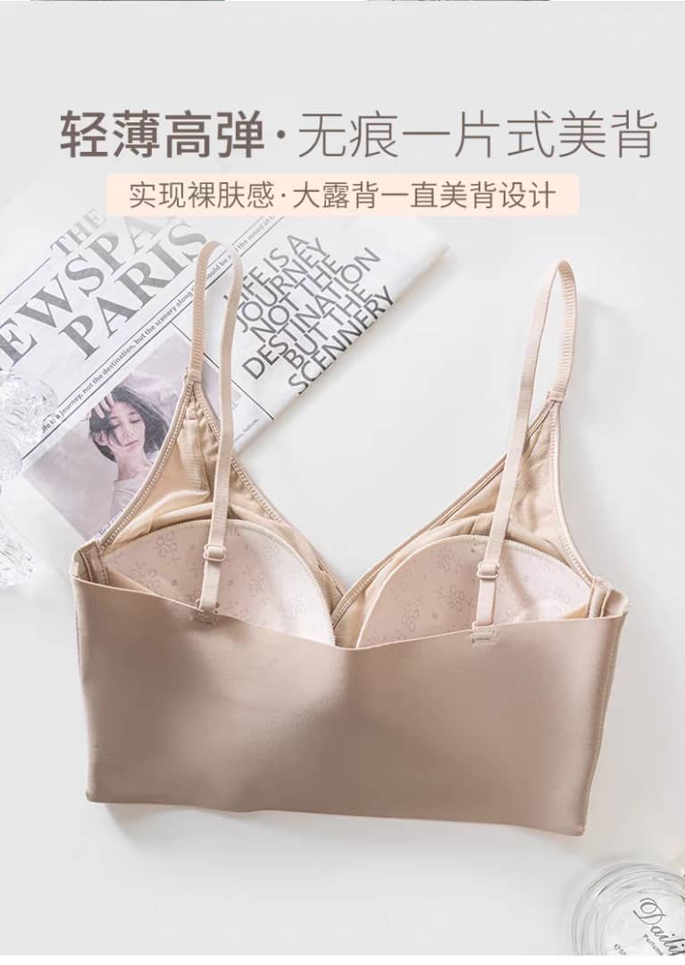 T6799 美背